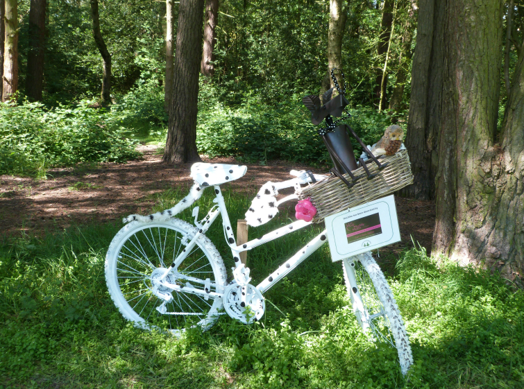 101 Bicyclettes, Pinewoods, Muddy Mutts