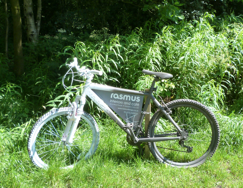 101 Bicyclettes, Pinewoods, Rasmus