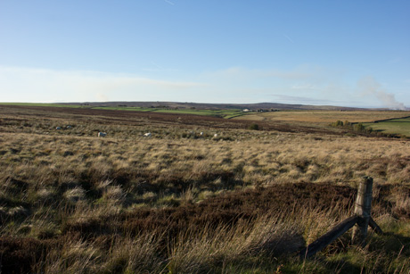 Blubberhouses Moor
