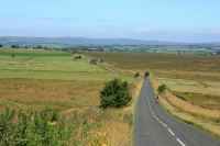 Broad Dubb Road