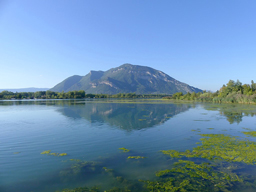 Grand Colombier