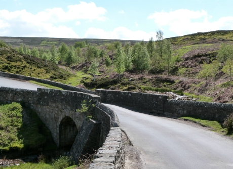 Bridge over Cogden Gill, Grinton Moor