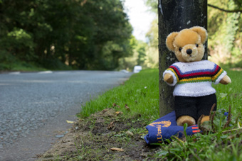 World Champion bear on Harlow Moor Road