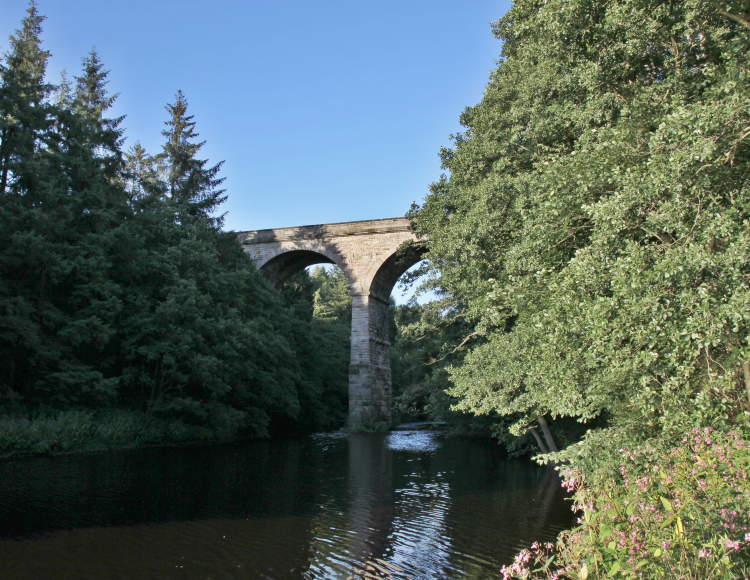 Nidd viaduct
