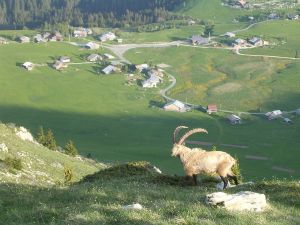 Plateau de Solaison