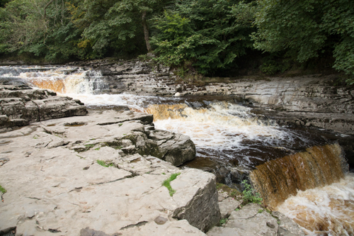 Stainforth Force