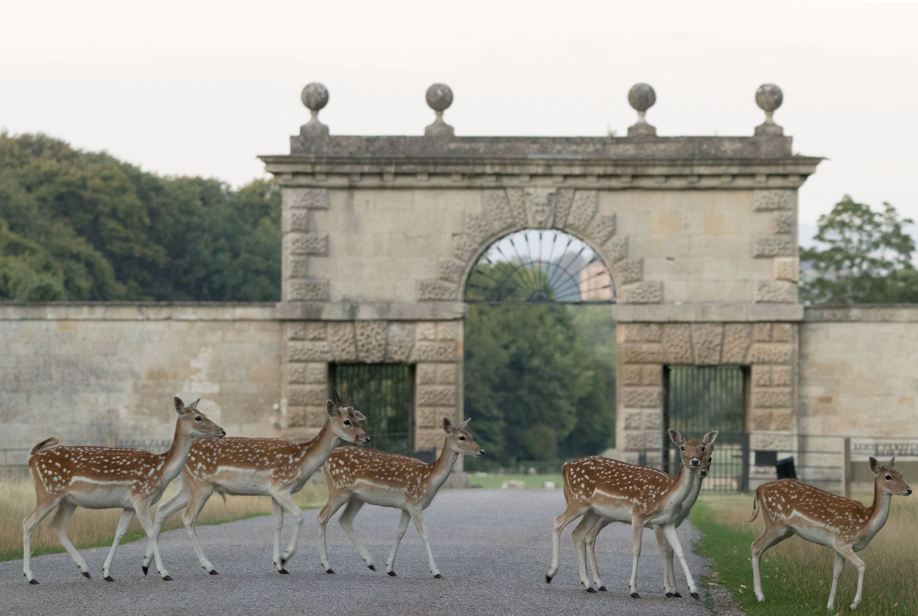 Arch at entrance to Deer Park, Studley Royal